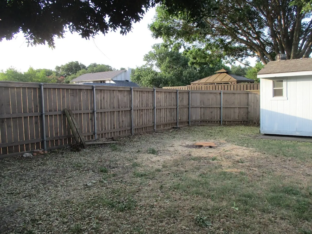 Cleared yard after professional tree removal in Munson